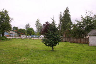 BAck Yard 2