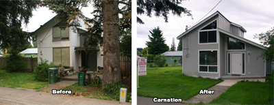 Carnation Before and After