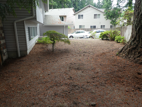 Edmonds front yard