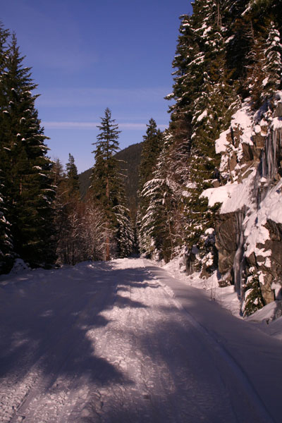 Greenwater trail