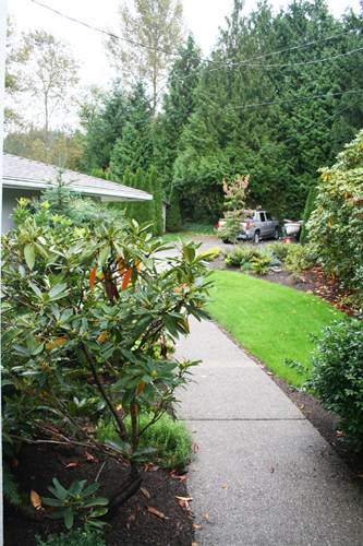 Lk Sammamish walkway